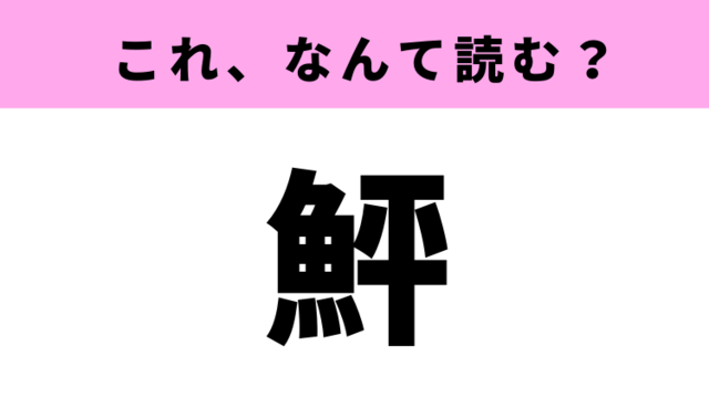 鰤 はなんて読む 冬が旬の魚を表す難読漢字 Antenna アンテナ