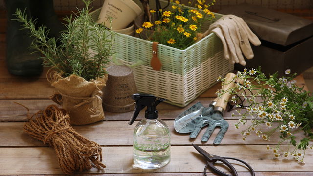 キントーの植物コレクション モリス より新作登場 吊るして楽しむハンギングポット Antenna アンテナ