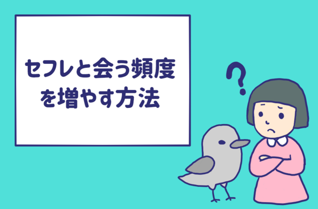 セフレと会う頻度を増やす方法は 本命昇格の前にとにかく会わせてくれ Antenna アンテナ