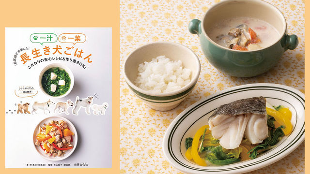 きのこの伝道師がおすすめ おいしいきのこのお取り寄せ5軒 Antenna アンテナ