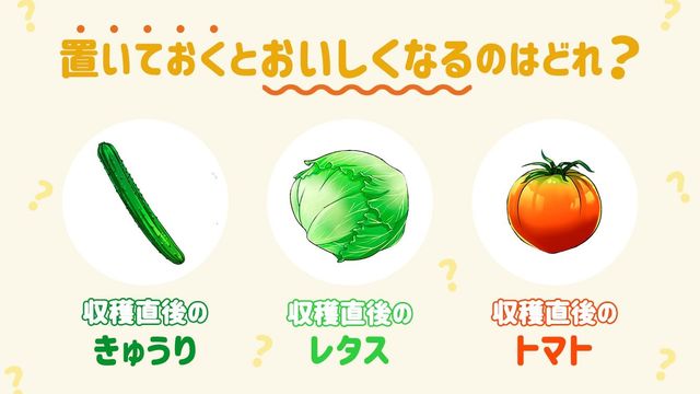 自由研究の実験に 水に浮く野菜or沈む野菜は 何で決まる Antenna アンテナ