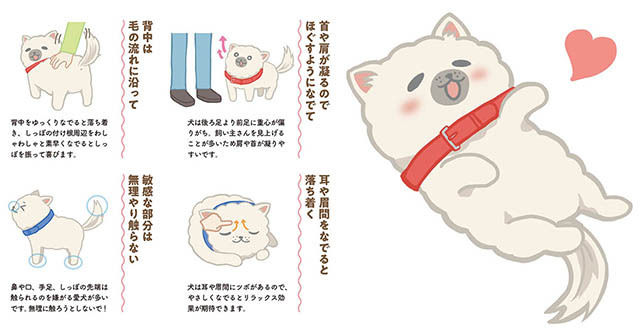 お腹をなでられるのが好き 犬がなでられると嬉しいところ 嫌がるところって 愛犬との絆がぐーっと深まる本 Antenna アンテナ