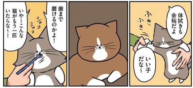 一方の猫を褒めたら もう一方の猫も言うことを聞くようになる 鴻池剛と猫のぽんた ニャアアアン Antenna アンテナ