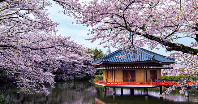 桜色に染まる奈良へ 花の寺として名高い2つの名所 長谷寺 安倍文殊院 桜井市 Antenna アンテナ