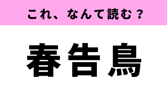 春告鳥 はなんて読む 漢字の通り春に見かける鳥の名前です Antenna アンテナ