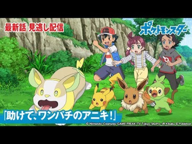 公式 アニメ ポケットモンスター 第107話 助けて ワンパチのアニキ 期間限定配信 Antenna アンテナ