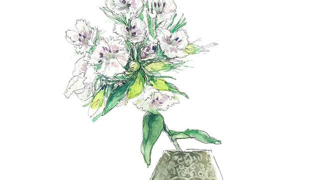 6月18日の花 ヒメユリ 華奢な花姿のユリを和風の一輪挿しに Antenna アンテナ