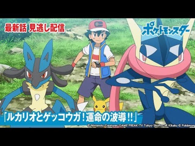 公式 アニメ ポケットモンスター 第108話 ルカリオとゲッコウガ 運命の波導 期間限定配信 Antenna アンテナ