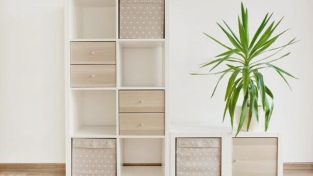 つかまり立ちやいたずらが危ない カラーボックスの安全対策 Antenna アンテナ つかまり立ちやいたずらが危ない カラーボックスの安全対策 Antenna アンテナ