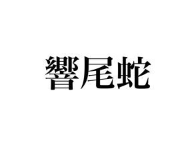 いきもの漢字クイズ 響尾蛇 何のことか分かる 絶対知ってる動物です Antenna アンテナ