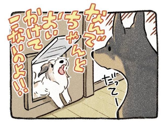 なんで入れないの？ ドッグゲートに疑問を抱く犬／ドベとノラ 犬がくれ