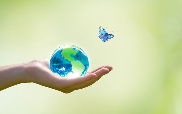 胡蝶の夢 の意味って 由来や英語表現を解説 関連小説 漫画 ゲームも Antenna アンテナ