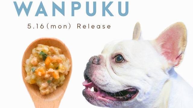 坂本昌行 19年ぶりドラマ主演は ワクワクドキドキ 動物との 絆 に感謝したエピソード語る Antenna アンテナ 坂本昌行 19年ぶりドラマ主演は ワクワクドキドキ 動物との 絆 に感謝したエピソード語る Antenna アンテナ