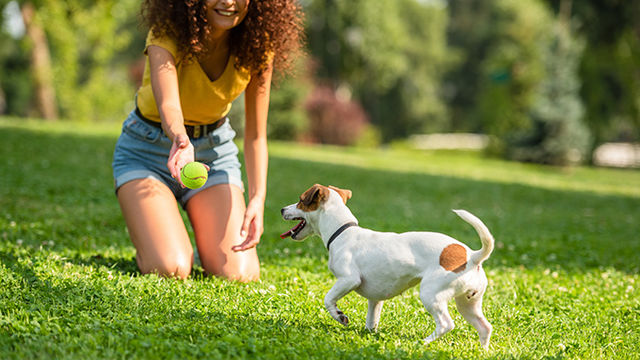 気になるおならのニオイ 海外研究によると 関係しているのは食べものだけじゃない Antenna アンテナ