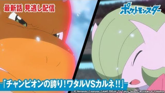 公式 アニメ ポケットモンスター 第116話 チャンピオンの誇り ワタルvsカルネ 期間限定配信 Antenna アンテナ 公式 アニメ ポケットモンスター 第116話 チャンピオンの誇り ワタルvsカルネ 期間限定配信 Antenna アンテナ