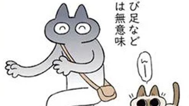 スーパーボールを追いかけて猫ジャンプ 夢中のあまり飼い主にも直撃 シャム猫あずきさんは世界の中心 Antenna アンテナ