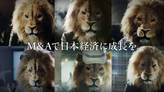 ライオンに襲われた仲間を救うべく大集結 バッファローの絆を写した圧巻のビデオが話題 野生動物たちの壮絶なドラマ Antenna アンテナ