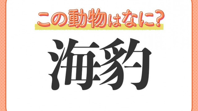 海豹 はなんて読む 見れば癒される海のアイドル Antenna アンテナ 海豹 はなんて読む 見れば癒される海のアイドル Antenna アンテナ