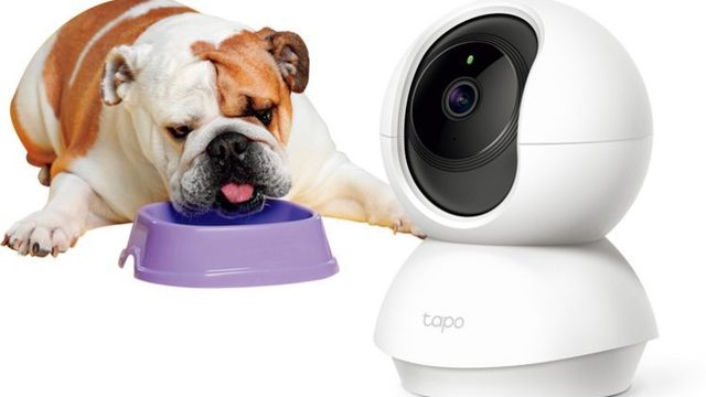 育てる 猫型バーチャルペット Juno ユノ オンラインショップで発売 ユピテル Antenna アンテナ