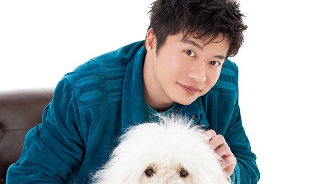 田中圭インタビュー 田中圭 犬と歩いた亀戸 洗練され過ぎない街が心地よくて Antenna アンテナ