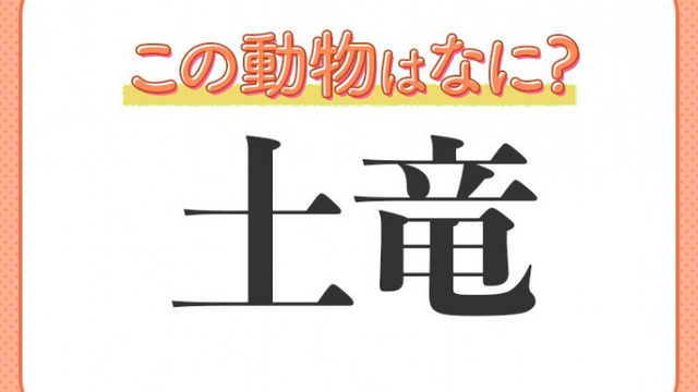 海豹 はなんて読む 見れば癒される海のアイドル Antenna アンテナ 海豹 はなんて読む 見れば癒される海のアイドル Antenna アンテナ
