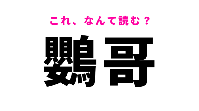 春告鳥 はなんて読む 漢字の通り春に見かける鳥の名前です Antenna アンテナ