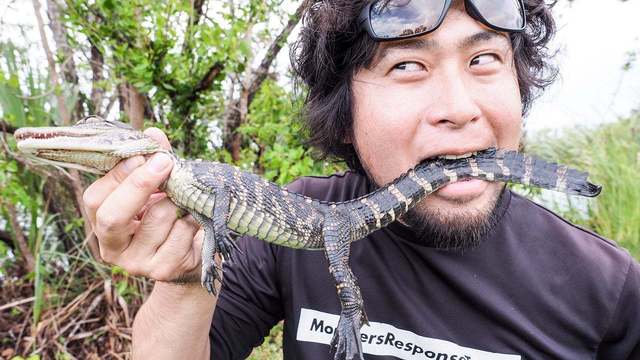 その名も琉神大百足 国内で143年ぶりの新種オオムカデは 翡翠色で渓流に潜む Antenna アンテナ