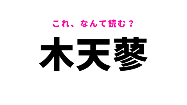 春告鳥 はなんて読む 漢字の通り春に見かける鳥の名前です Antenna アンテナ