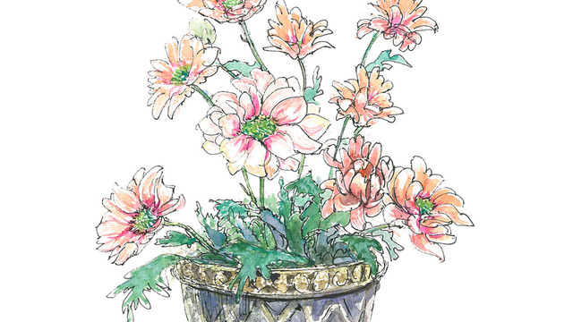 6月30日の花 アジサイ アナベル 人気品種 7月1日生まれの人の誕生花 Antenna アンテナ