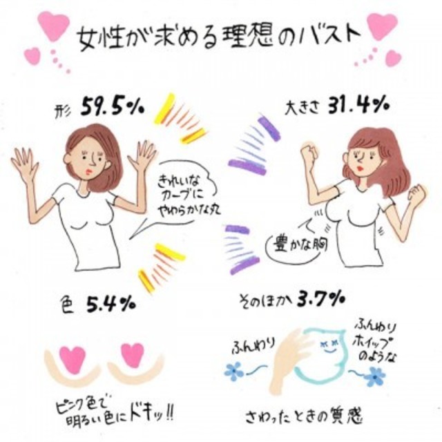 女性が求める理想のバスト イラストコラム Antenna アンテナ