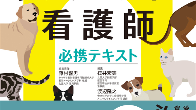 人気特価 【ざくざく様専用】犬と猫の治療薬ガイド2023 健康/医学