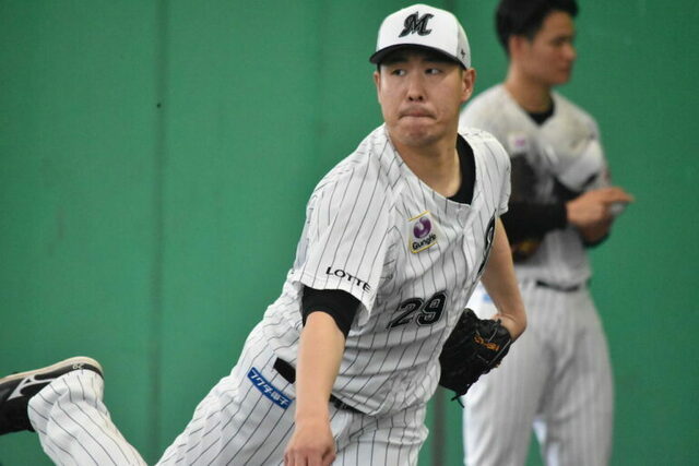 ふるさと納税 大矢大地様専用 その他