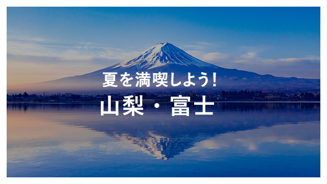 激安超安値 シリーズ 夏 JP-MTFUJI agapeeurope.org