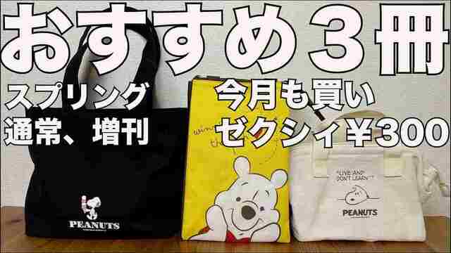 リンネル付録】 スヌーピー×ロゴスのコラボアイテムが本当に使える