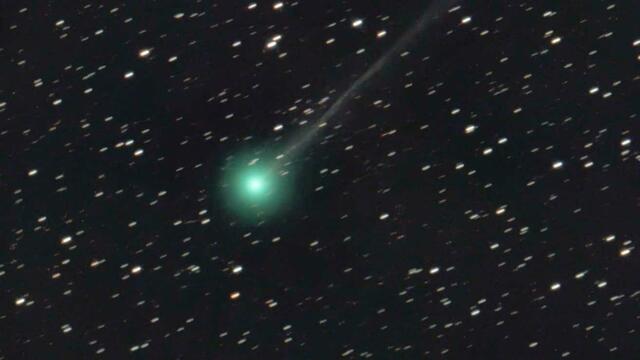 日本のアマチュア天文家が発見した新彗星を見るなら今週がチャンス