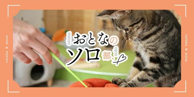 おとなのソロ部】おひとりさま限定！大阪・梅田の「ひとり猫カフェにあ