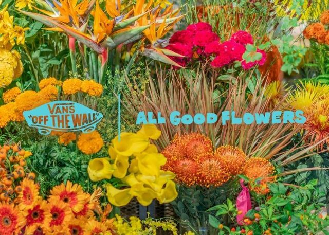 VANS ALL GOOD FLOWERS