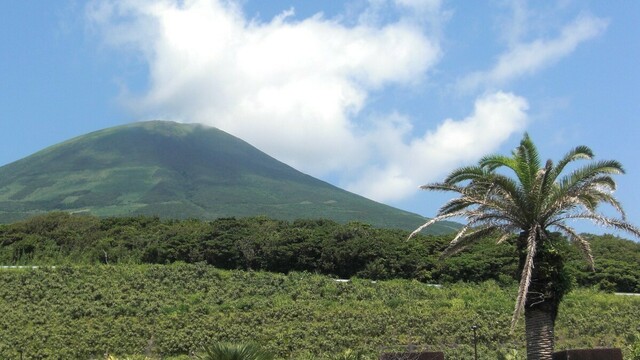 流刑先「八丈島」から吉原遊女と脱獄した江戸時代の侠客「その後の潜伏