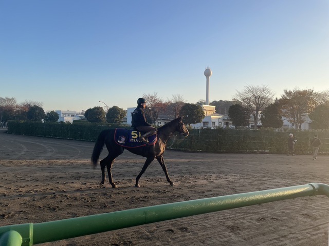 厚岸ウイスキー ノーザンホースパーク イクイノックスデザイン 厚岸ウイスキー ノーザンホースパーク イクイノックスデザイン