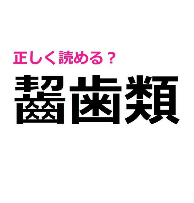 最強レベルの漢字に挑戦…！画数が多い「齧歯類」はなんて読む