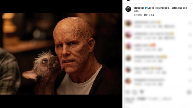『デッドプール3』ウェイド・ウィルソンの初画像が公開、ドッグプールとツーショット「犬のクソみたいな味だな」 antenna[アンテナ]