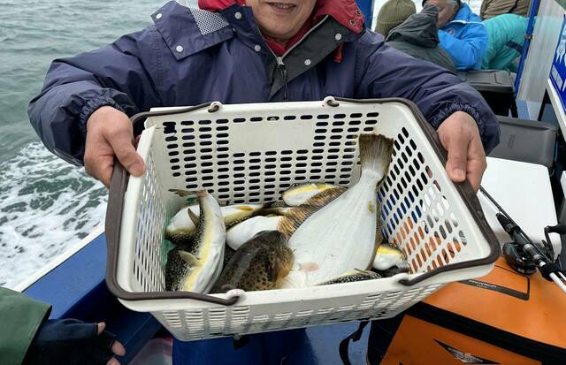 千葉県・竹岡沖に“肝パン”のカワハギ大集合！良型交じりで好調