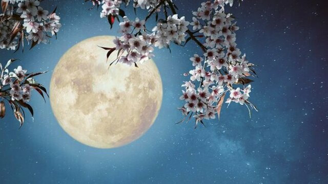 満月の大安吉日から運が良くなる人の共通点 - 1日1分見るだけで願いが  