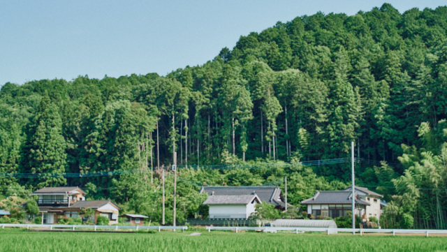 【茨城県旧七会村(城里町)】蛍も飛び交うという七会の里山を感じて antenna[アンテナ]