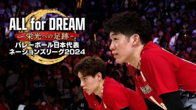 2024年 バレーボール男子日本代表 応援Tシャツ ユニフォーム