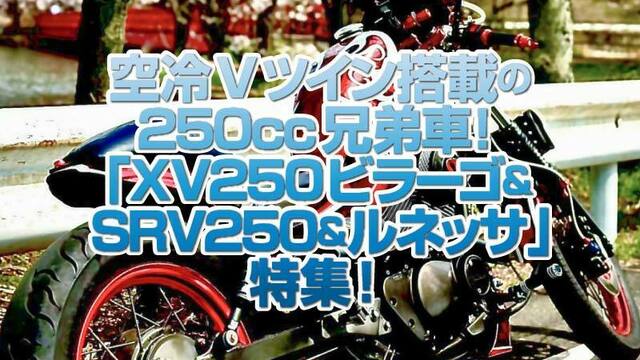 NO.2675 ＸＶ２５０ビラーゴ 空冷Ｖツイン２５０ｃｃ アメリカン ブラック＆シルバー ☆彡 邪魔くさい