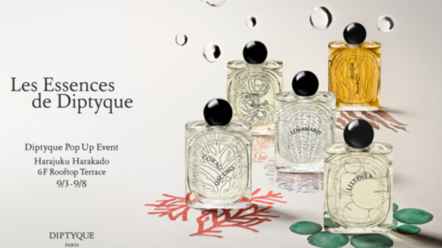 Feuille de Lavande / Lavender Leaf candle | Diptyque Paris