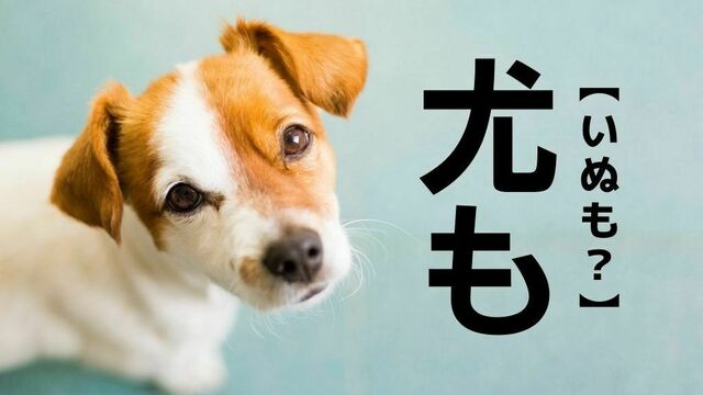 【尤も】なんて読む？よーく見てください「犬（イヌ）」ではありませんよ！【読めないと恥ずかしい漢字クイズ】 | antenna[アンテナ]