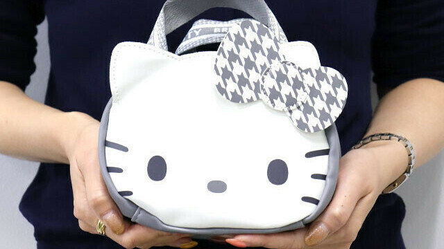ブリングミー♡キティポーチ♡blingme! HELLO KITTY × BRILMY 中身が見えて時短がかなう ズボラに優しい