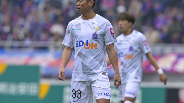 サンフレッチェ広島 2024 33 塩谷司 2ndユニフォーム Mサイズ サンフレッチェ広島 2024 33 塩谷司 2ndユニフォーム Mサイズ